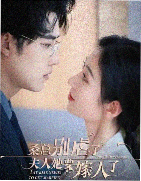 繁花 热播剧集封面